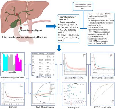 Prognostic models for mucinous and non-specific adeno cholangiocarcinoma: a population-based retrospective study